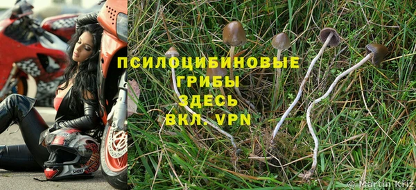 амфетамин Осинники