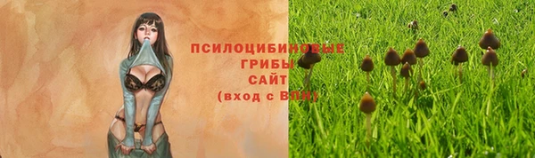 твердый Абинск
