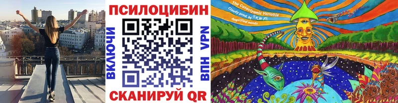 Псилоцибиновые грибы Psilocybe  закладка  Верхоянск 